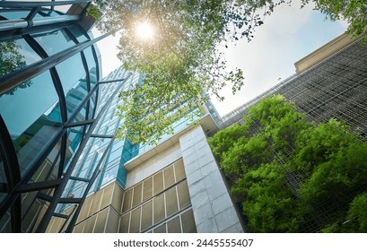 Upward view of skyscrapers, glass facade and trees with sun flare - Powered by Shutterstock