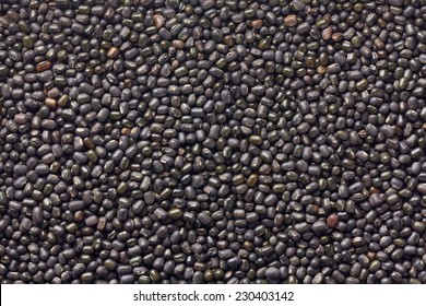 Urad Dal , Black Gram , Vigna Mungo