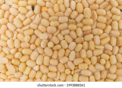 Urad Dal Closeup Macro Protien Rich Food