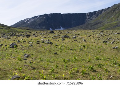 ural mountains 