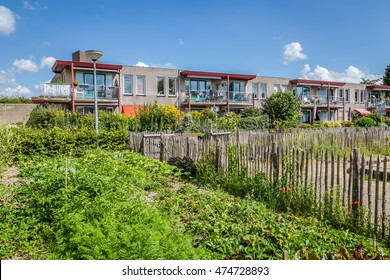 Urban Agriculture: A Vegetable Garden Beside An Apartment Building In A Suburb Of A City