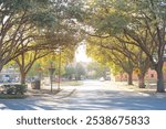 Urban area with tree lined street, high rise buildings, playground, street name, walking sign in downtown Farmers Branch, Texas, suburb Dallas County, DFW metroplex, lush greenery Southern oak. USA