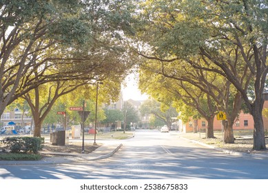 Urban area with tree lined street, high rise buildings, playground, street name, walking sign in downtown Farmers Branch, Texas, suburb Dallas County, DFW metroplex, lush greenery Southern oak. USA - Powered by Shutterstock