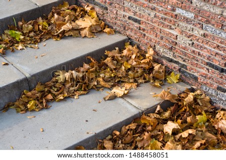 Similar – Image, Stock Photo Dry leaves on paving stones in the autumn sun