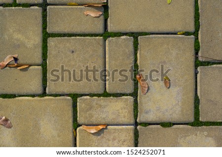 Similar – Image, Stock Photo Dry leaves on paving stones in the autumn sun