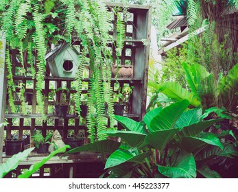 Urban Balcony Garden.