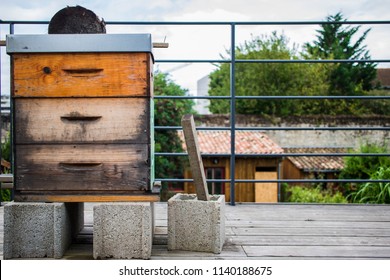 Urban Bee Hive In Bordeaux, France.