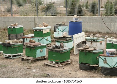 Urban Beekeeping In Athens. A Group Of Multicolored Bee Hive Boxes Next To An Ex-Olympic Complex.