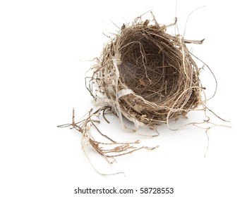 Urban Bird Nest Isolated On White.