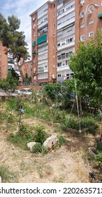 Urban Communal Garden, Urban Gardening, Madrid
