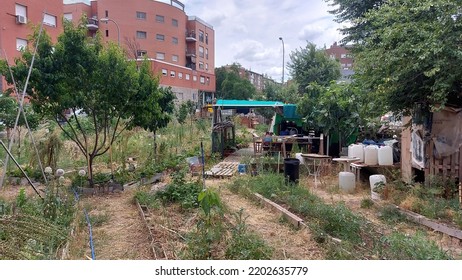 Urban Communal Garden, Urban Gardening, Madrid
