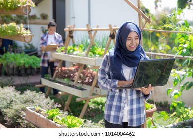 Urban Farming. Attractive Asian Muslim Woman With Laptop In The Farm