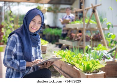 Urban Farming. Attractive Asian Muslim Woman With Tablet In The Farm