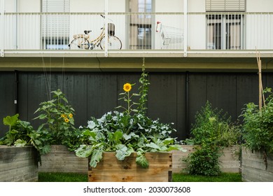Urban Farming: Community Garden In The City As Sustainable Living