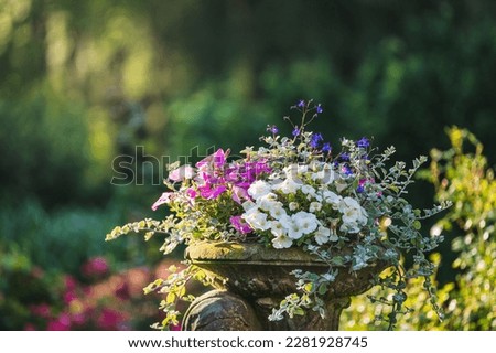 Urban flower pot with different colorful spring flowers stands in the public park