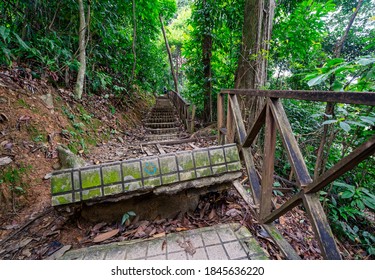 Urban Forest Of Kuala Lumpur, Bukit Nanas