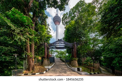 Urban Forest Of Kuala Lumpur, Bukit Nanas