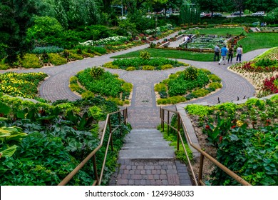 An Urban Garden
