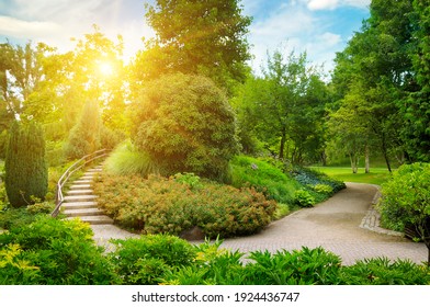 An Urban Garden With Lush Vegetation, Stone Path And Decorative Staircase. Cozy Summer Evening.