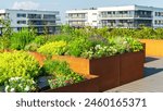 Urban garden on the roof of apartment buildings. Herbs, flowers, and fruit plants grow on raised beds made of weathering steel. COR-TEN steel panels for modern architecture, high bed design.
