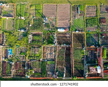 Urban Gardening. City Urbanized Vegetable Garden. Aerial View. Growing, Farming Vegetables In The City. Agriculture Of Organic Hand Grown  Food. Self Sustained System Of Gardening Reusing Rainwater.