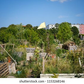 Urban Garden Berlin Stock Photos Images Photography Shutterstock