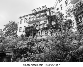 Urban Green Area With Plants Growing Looking Wild In The Citycenter Of Berlin In Black An White