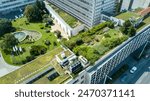 Urban green rooftop garden with trees, bushes, shrubs in the city on the top of a modern office building next to the cars and the yellow tram