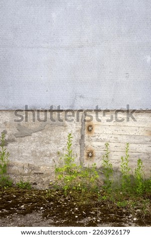 Similar – Image, Stock Photo window seat Plant Flower