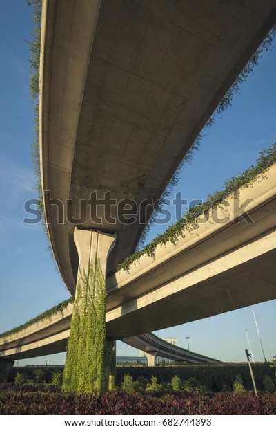 Urban highway overpass covered with plants and copy\
space for your text.