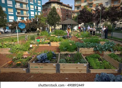 Urban Horticulture - Community Garden In Central Square Of The City. Turin, Italy - September 29, 2016