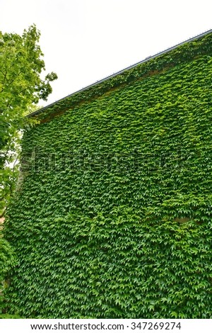 Similar – heavily overgrown building, of which only the roof is still visible