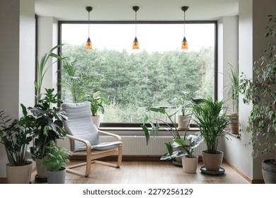 Urban jungle apartment. Grey armchair near big panoramic window, indoor plants, monstera, palm trees. Biophilia design. Cozy tropical home garden. Eco friendly decor of living room - Powered by Shutterstock