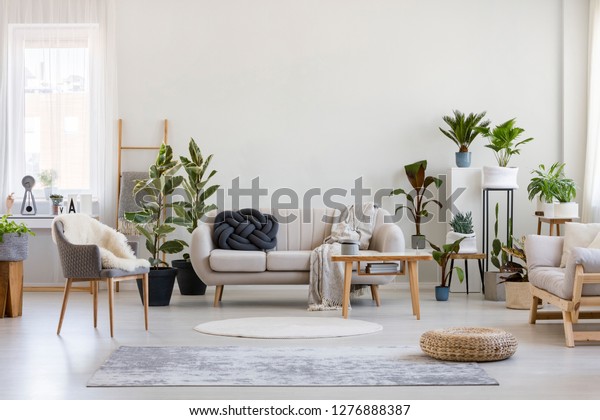 Urban Jungle Bright Living Room Interior Stock Photo Edit Now