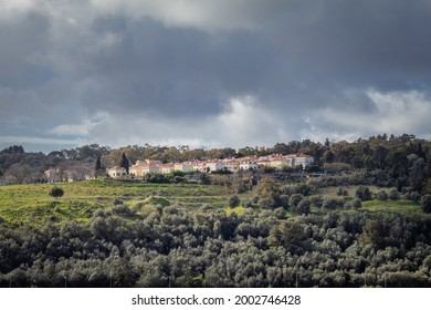 Urban Landscape With Buildings In The Middle Of Nature Exposes Society's Quest To Live With More Quality.