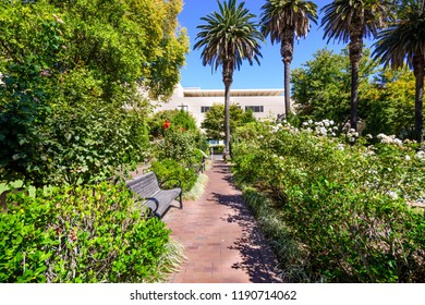 90 Sacramento rose garden Images, Stock Photos & Vectors | Shutterstock