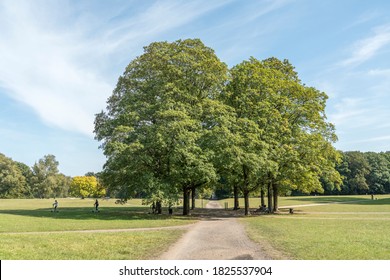 Urban Park In Cologne City Forest