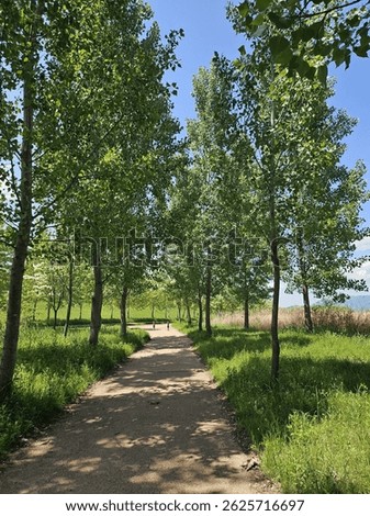Urban parks in Korea,
Korean walking trails,
Picnic spot in Korea,
Nature in Korea,
Urban parks in Korea