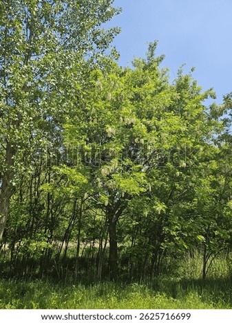 Urban parks in Korea,
Korean walking trails,
Picnic spot in Korea,
Nature in Korea,
Urban parks in Korea