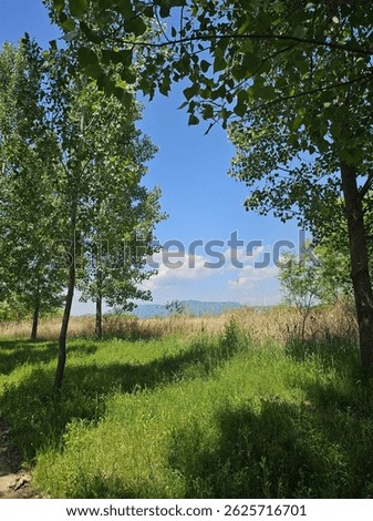Urban parks in Korea,
Korean walking trails,
Picnic spot in Korea,
Nature in Korea,
Urban parks in Korea