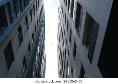 Urban perspective looking up between two tall residential buildings with birds flying in the sky.