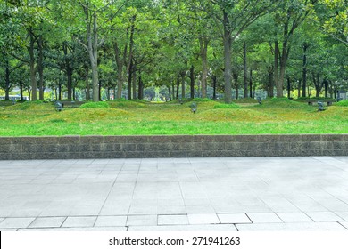 Urban Road With Green Trees