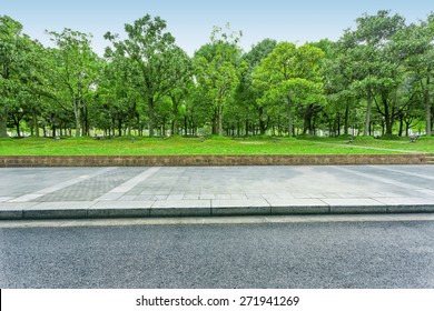 Urban Road With Green Trees