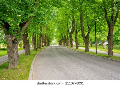 Urban Road With Green Trees. Tree Lined Street In The Summer Time. This Image Was Taken At Ikaalinen, Finland In July 2017.