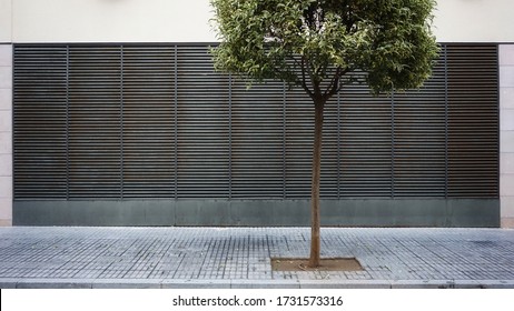 
Urban Sidewalk Against Gray Grid Background