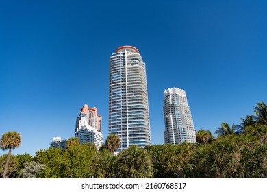 Urban skyline with high-risers and palms on blue sky in South Beach, USA