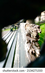 Urban Street  Photography Image . Close Up Abstract View Of Park Bench Taken In Kensington And Chelsea