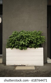 Urban Streetscape - Planter Box