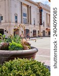 Urban Succulents and Historic Theater Facade, Eye-Level View