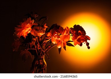 Urban Sunset. Live Flowers, Creative Floral Composition Over Dark Background In Neon Yellow Spotlit. Concept Of Floristry, Decorations, Creativity, Decor And Ad. Design For Wallpaper